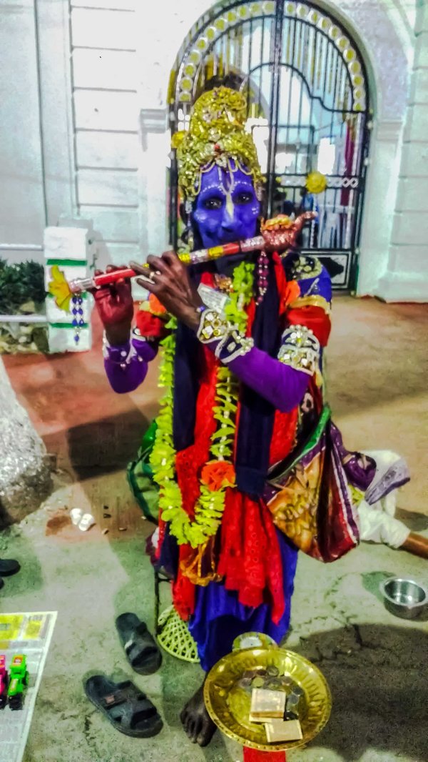 Comment les insectes tels que les libellules effectuent-ils leur métamorphose aquatique ?