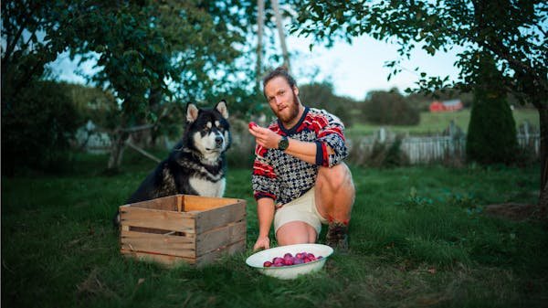 Transformez le comportement de votre chien avec un expert